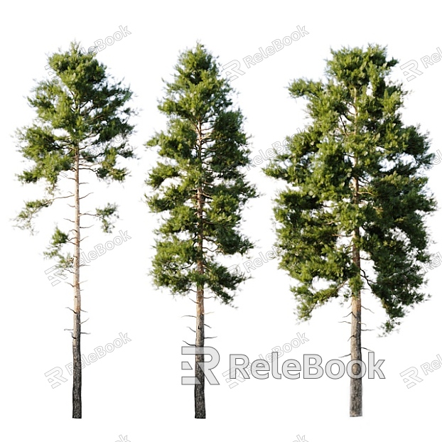 plant green plant trees big tree pine tree model