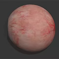Realistic Human Eye Organ Model With Visible Blood Vessels Brown Iris And Pupil Reflection