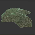 Natural Wood Stone Decorative Piece With Green Moss And Irregular Shape