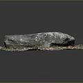 Natural Wood and Stone Material Display with Moss Covered Surface and Grass Surroundings