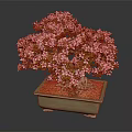Bonsai Plant With Pink Flowers In Brown Square Pot And Golden Pebbles Against Dark Background