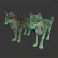 Two Gray Wolves With Red Markings Standing On Reflective Gray Surface