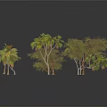 Various Types of Trees with Green Leaves and Leafless Branches on White Background