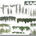 Various Types Of Decorative Climbing Hanging And Green Vines For Garden Decoration And Design
