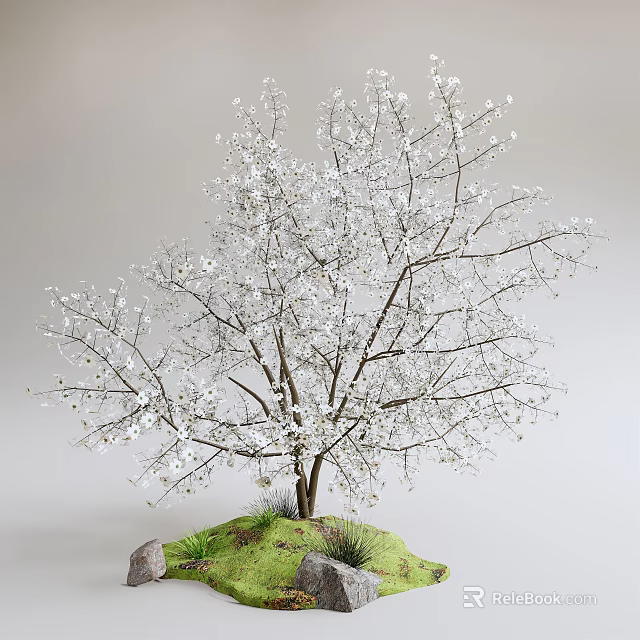 Blooming Tree With White Blossoms And Trunk On Green Grass And Stones 3d model 
