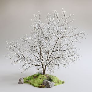 Modern Flower Tree Shrub 3d model