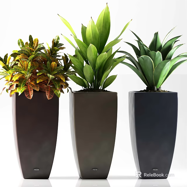 Potted Plants With Colorful Foliage And Green Leaves In Modern Dark Planters 3d model 