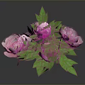 Fresh Pink Peonies Bouquet With Lush Green Leaves And Vibrant Blooms