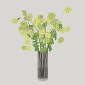 Yellow Hydrangea Flowers in Tall Clear Glass Vase with Fresh Green Leaves