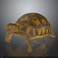 Brown Orange Patterned Tortoise with Detailed Textured Shell Standing on Smooth Surface 3d model