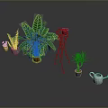 Various Indoor Plants Large Leaf Green Plant Climbing Vine Small Potted Plants And Watering Can