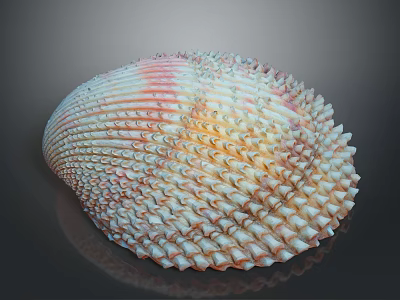 Vibrant Marine Shellfish With Spiky Textured Shell In Pink White And Yellow Hues 3d model