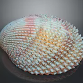 Vibrant Marine Shellfish With Spiky Textured Shell In Pink White And Yellow Hues