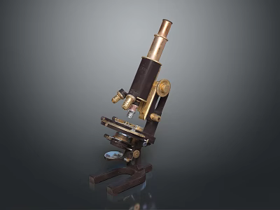 Vintage Brass Desktop Microscope with Classic Design Adjustable Knobs for Home Study Decor 3d model