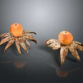 Two Orange Fruited Plants With Metallic Leaf Like Structures On Black Surface 3d model