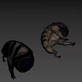 Yellow Green Creature With Open Cavity And Black Spheres Near Smaller Creature