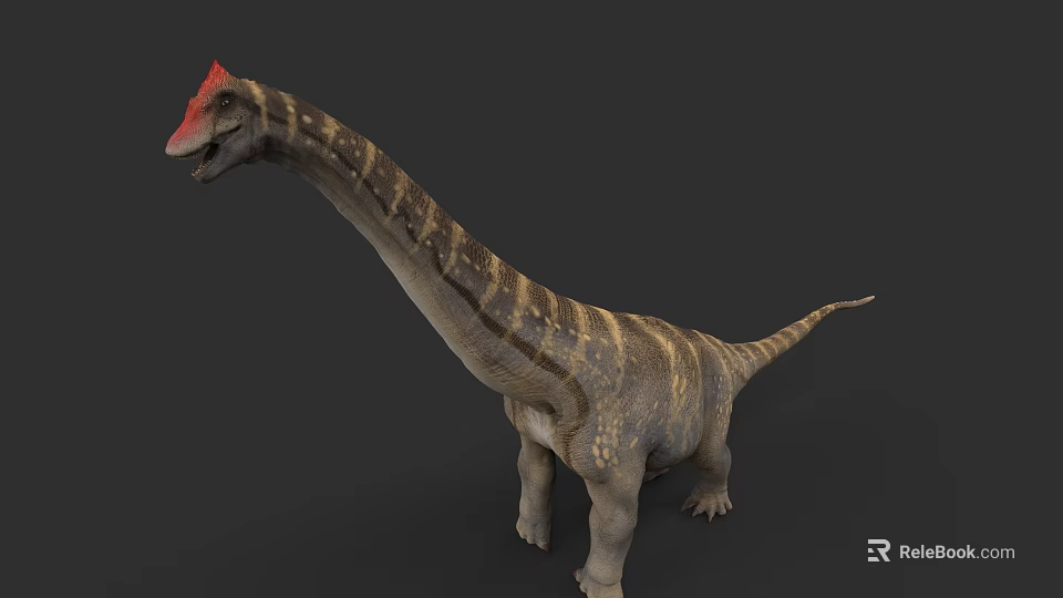Realistic Reptile Dinosaur With Long Neck Red Crest And Striped Body Standing 3d model 