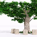 Arbor with Lush Green Foliage Thick Trunk and Four Stump Stools 3d model
