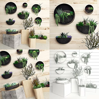 Bonsai Potted Plants In Wall Mounted And Tabletop Displays With Diverse Containers And Lush Greenery 3d model