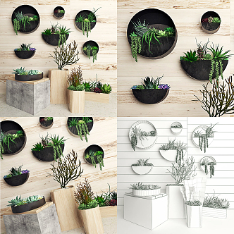 Nordic potted plant wall decoration potted fleshy hanging orchid 3d model