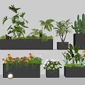 Various Bonsai Potted Plants Including Cactus Ferns And Flowering Varieties In Black Containers