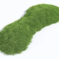 Lush Green Grass Covered Micro Terrain for Natural Landscaping Design 3d model