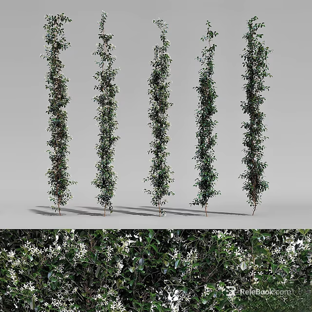 Tall Green Vines With White Flowers Arranged In A Row For Decoration 3d model 