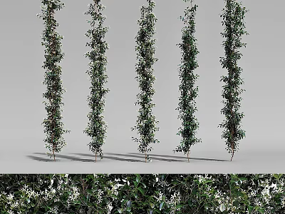 Tall Green Vines With White Flowers Arranged In A Row For Decoration 3d model
