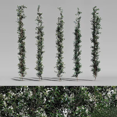 Tall Green Vines With White Flowers Arranged In A Row For Decoration 3d model