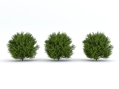 modern shrub bush ball 3d model