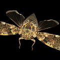 Detailed Cicada With Patterned Transparent Wings And Metallic Body On Black Background