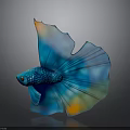 Vibrant Blue And Orange Betta Fish With Large Flowing Fins On Black Background