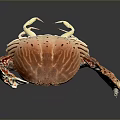Red And White Patterned Crab With Large Claws Shiny Shell And Reflection On Smooth Surface 3d model