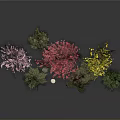 Diverse Colorful Garden Plants With Pink Red Yellow Green Trees And Shrubs