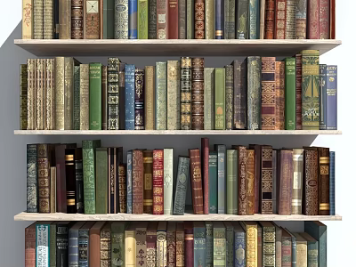 Diverse Book Collection On Wooden Shelves With Various Bound Classic Volumes 3d model