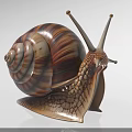 Reptile Snail With Spiral Striped Shell And Textured Body On White Background Close Up View