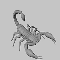 Realistic Green Scorpion 3D Model With Curved Tail And Sharp Claws