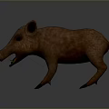 Wild Boar 3D Model With Brown Fur And Sharp Tusks In Standing Posture