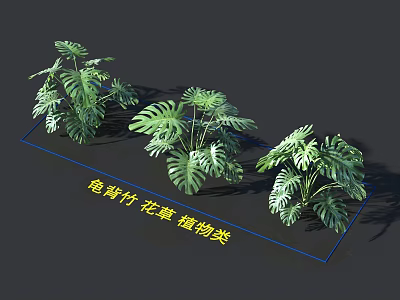 Lush Green Monstera Plants With Large Leaves For Indoor Flower And Plant Decor 3d model