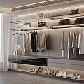 Stylish Hangers in Modern Walk in Closet with Hanging Clothes Shelves and Shoes