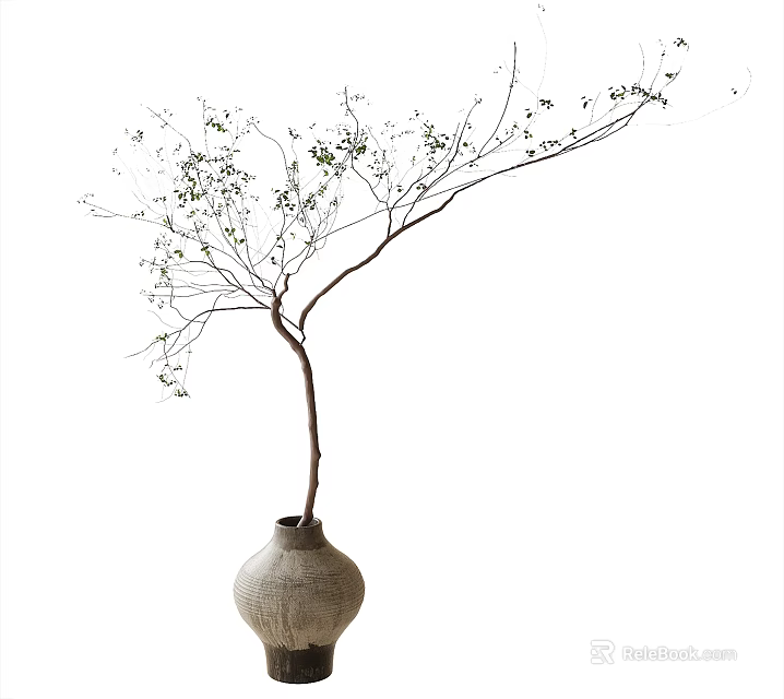 Natural Style Bonsai Plant In Ceramic Vase With Slender Trunk And Green Leaves 3d model 