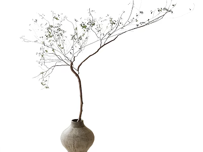 Natural Style Bonsai Plant In Ceramic Vase With Slender Trunk And Green Leaves 3d model