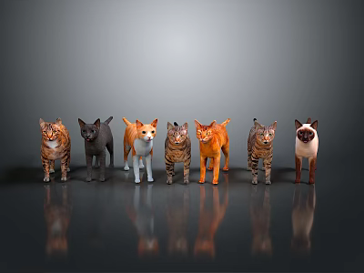 Various Colors And Breeds Of Cats Standing Side By Side On Gray Gradient Background With Floor Reflections 3d model