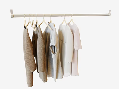 Casual Clothes Hanging On Metal Rod With Neutral Tones And Simple Design 3d model