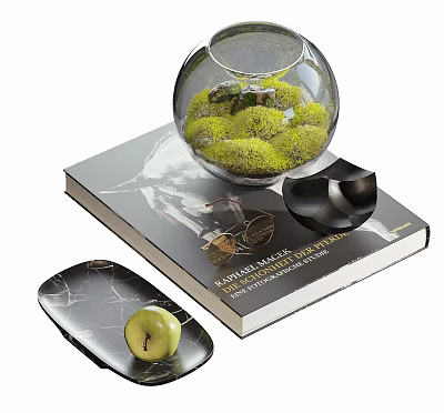 Elegant Decorative Ornament Set With Glass Globe Moss Container Book Black Bowl And Green Apple 3d model