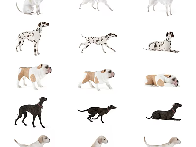Different Dog Breeds in Various Poses Standing Walking and Lying Down 3d model
