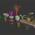 Various Indoor Plants with Different Planters Including White Ceramic and Clay Pots 3d model