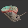 Snail Shell Antennae Organs And Hair Like Striped Spiral Texture