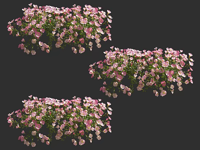 Vibrant Pink Flower Clusters With Green Leaves In Decorative Floral 3d model