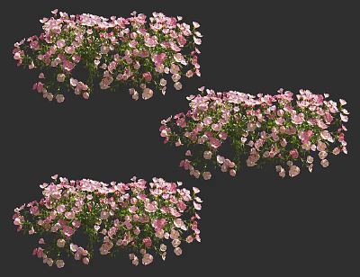 Vibrant Pink Flower Clusters With Green Leaves In Decorative Floral 3d model
